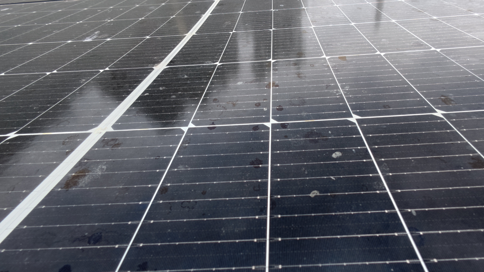 Close-up of dirty solar panels covered in dust, bird droppings, and water spots before professional softwash cleaning.