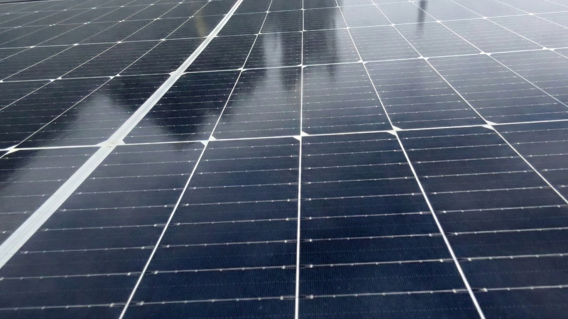 Clean and spotless solar panels after a professional softwashing service to restore energy efficiency.
