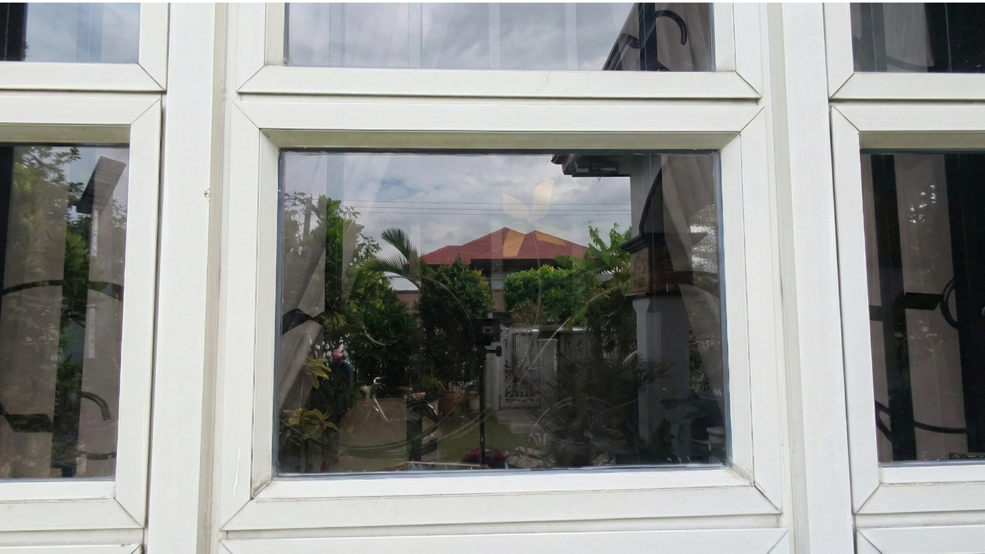 Crystal clear residential glass window reflecting a yard after professional softwashing service.
