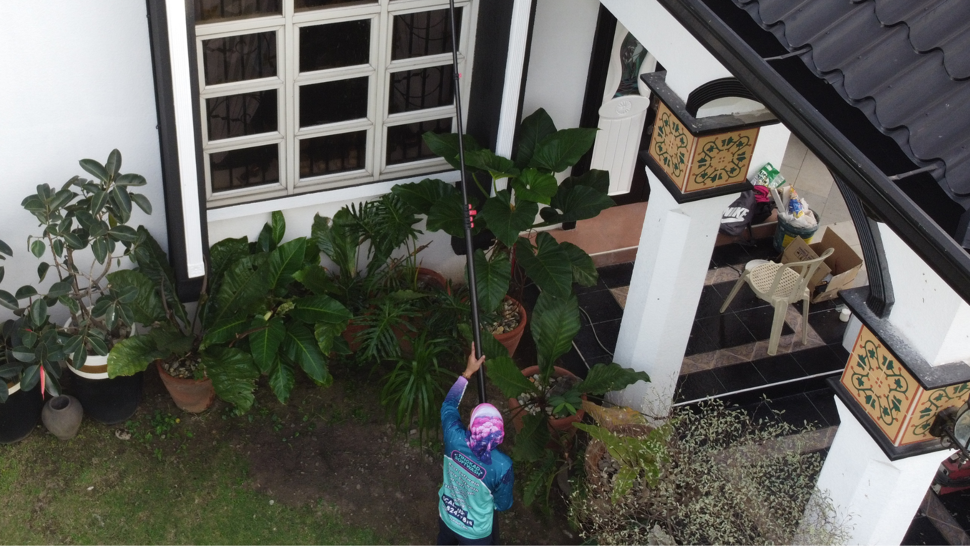 Tingkad Softwash technician using a telescopic water-fed pole for exterior window cleaning, safely working around delicate potted patio plants.