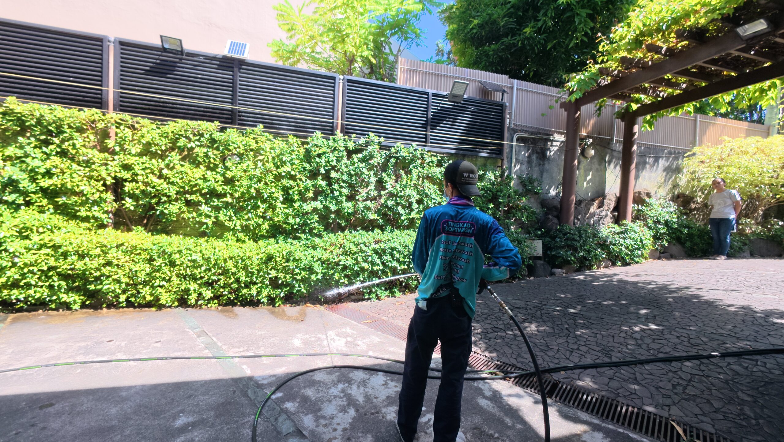 Tingkad Softwash technician safely rinsing garden hedges with fresh water, demonstrating a commitment to plant protection.