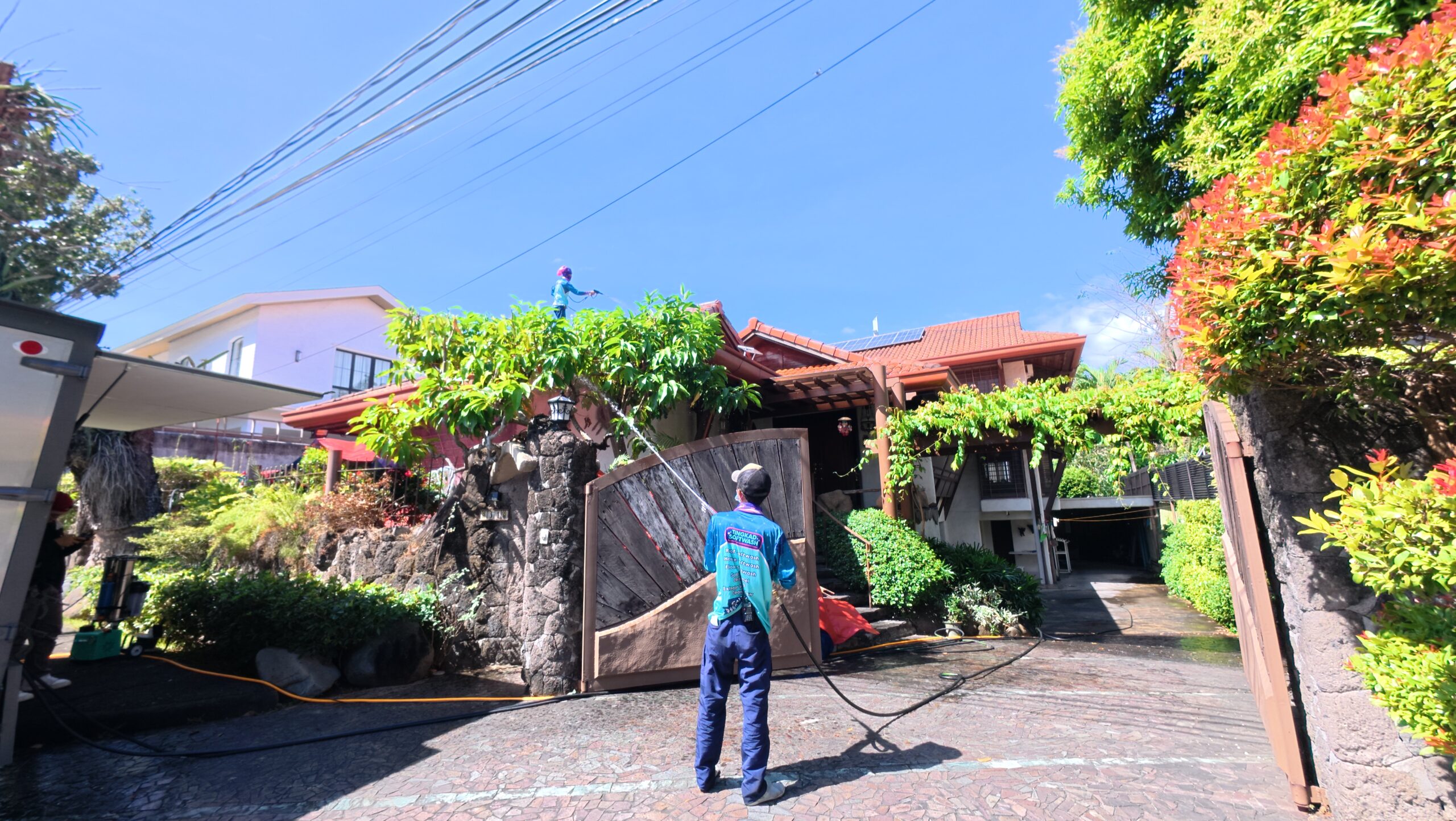 Tingkad Softwash professional carefully watering vines and landscaping over a gate to protect plants during softwashing.