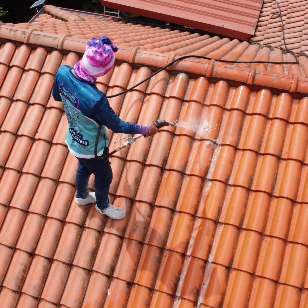 Professional roof cleaning service softwashing terracotta clay tiles to remove dark stains.